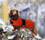 Dachshund Coat Dog Coats for Dachshunds Dachshund Winter Jacket with Padded Fleece Outdoor Dog Clothes with Adjustable Bands - Orange - M
