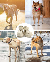 FDIDY Dog Boots for Hot Pavement & Snow – Waterproof Non-Slip Dog Shoes with Reflective Straps, Adjustable Easy-On Pet Booties for Small Medium Large Dogs, Outdoor Paw Protection, 4Pcs