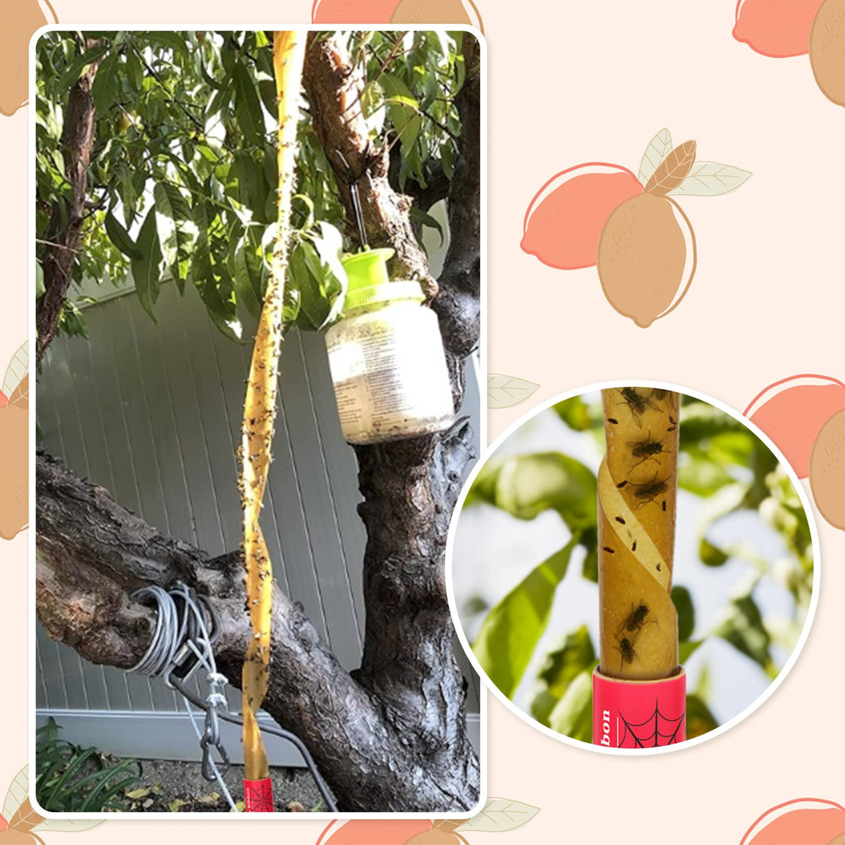 40 Packs Flying Insect Traps, Fly Strips, Fly Paper Ribbon, Sticky Fruit Fly Traps Hanging Gnat Fungus Mosquito Trap for Indoors Outdoors, Red