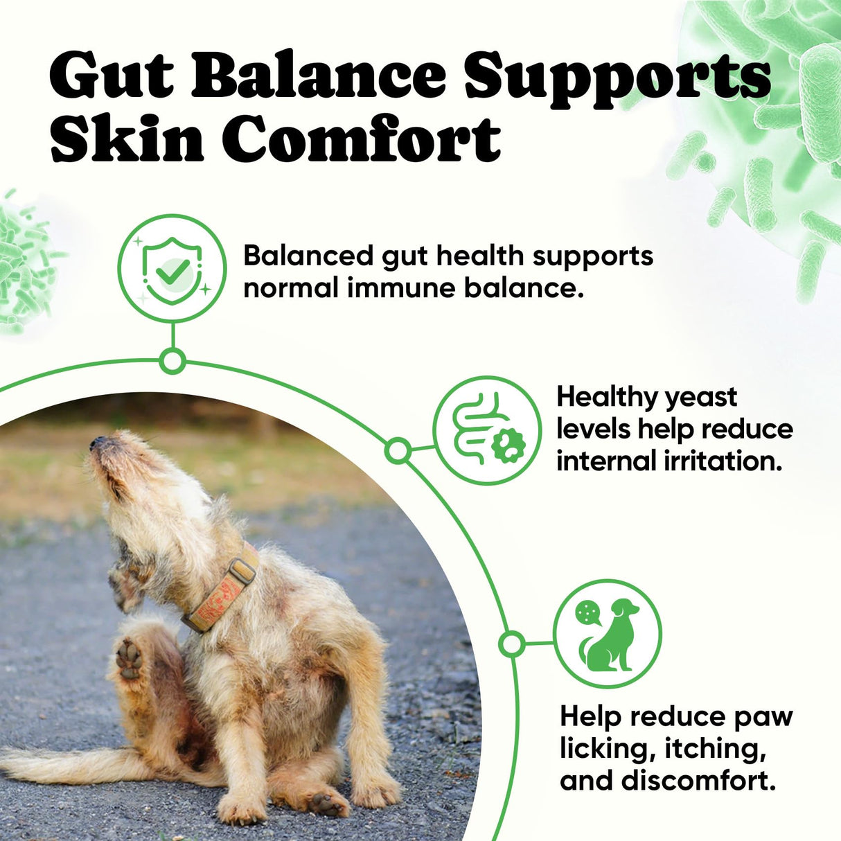 Probiotics for Dogs – Helps Digestion, Loose Stools, Gas & Sensitive Stomachs, Probiotics for Itchy Skin & Dog Yeast Infection, Immune & Fresher Breath with 4 Prebiotics & 5 Digestive Enzymes – 180 ct