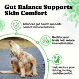Probiotics for Dogs – Helps Digestion, Loose Stools, Gas & Sensitive Stomachs, Probiotics for Itchy Skin & Dog Yeast Infection, Immune & Fresher Breath with 4 Prebiotics & 5 Digestive Enzymes – 180 ct