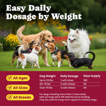 Load image into Gallery viewer, Glucosamine for Dogs - Hip and Joint Supplement Chews for Senior &amp; Large Breed, Joint Supplement for Dogs with Chondroitin, Wuffe Joint Chews for Pain Relief - 60-Day Satisfaction Guarantee - 180 Ct
