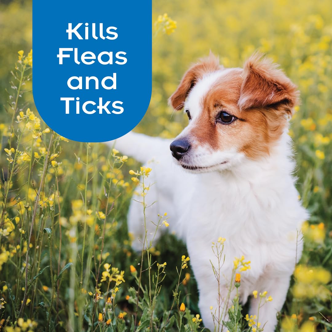 SENTRY PRO Flea and Tick Shampoo for Dogs, Rid Your Dog of Fleas, Ticks and Other Pests, Ginger Scent, 18 oz