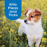 SENTRY PRO Flea and Tick Shampoo for Dogs, Rid Your Dog of Fleas, Ticks and Other Pests, Ginger Scent, 18 oz