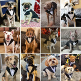 Tuxedo & Bandana Set, 2 Pack Pet Costume: Puppy Formal Party Suit - Dog Clothes for Small, Medium & Large Dogs - Prince Bow Tie Shirt - Wedding Attire for Golden Retriever & Samoyed (S)