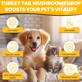 Turkey Tail Mushroom for Dogs - Faster Absorption 2000mg Turkey Tail Mushroom for Immune & Digestive, Joint, Energy, 5X Mushrooms for Pet Drop with Turmeric & Probiotic - Vet Formulated, 90 ML/3FL.oz