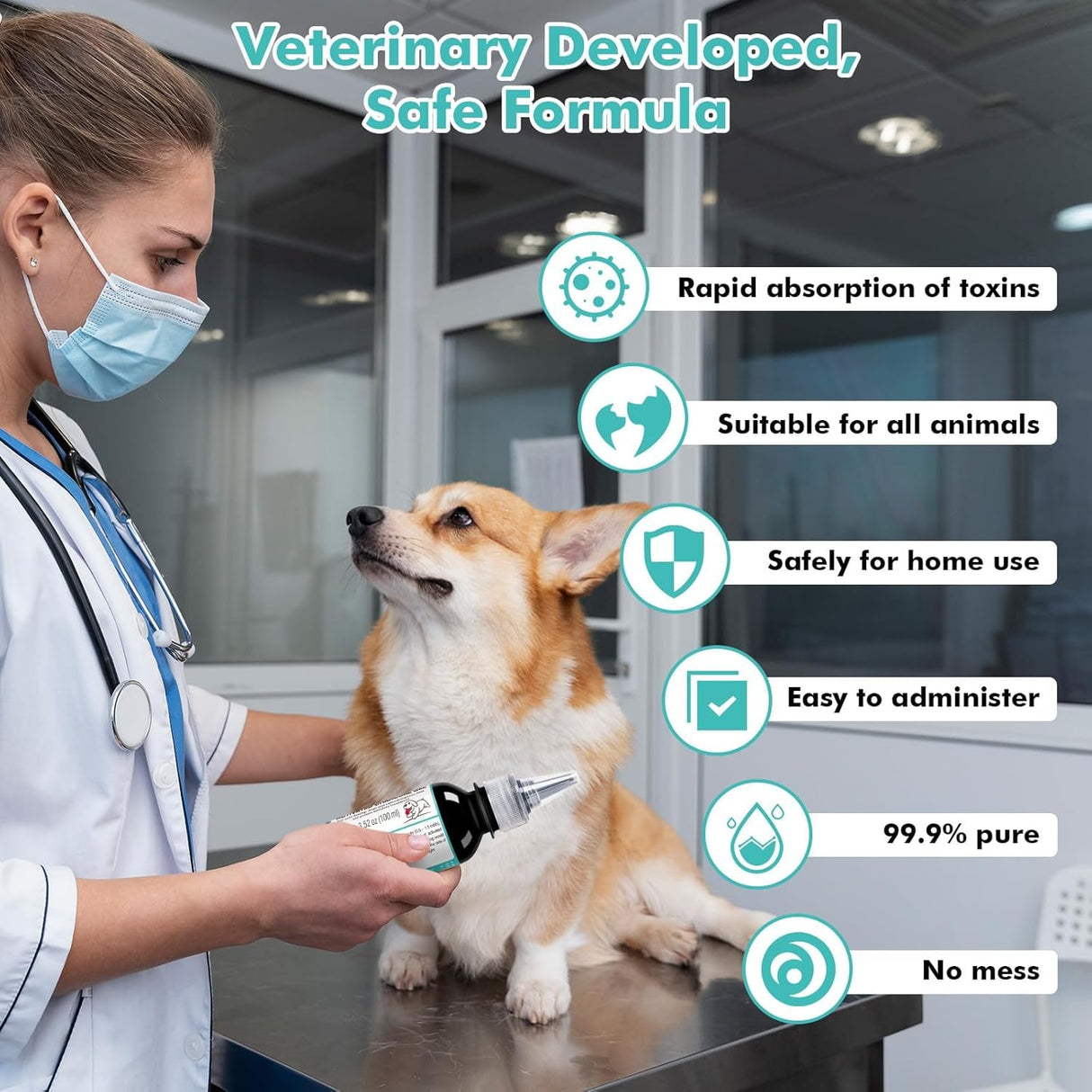 ROZJOVU Activated Charcoal Gel for Dogs for Poisoning, 100 ml Dog First Aid Activated Charcoal, Quickly Absorbs Toxins Ready Rescue for Dogs， Supports Diarrhea & Gas Relief