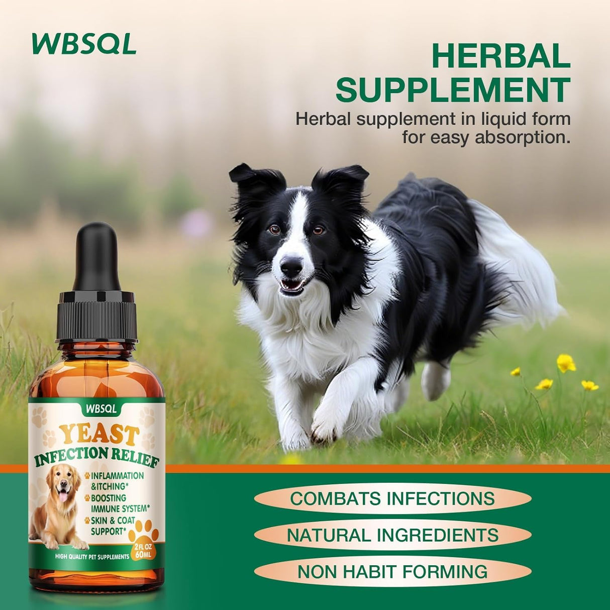 Yeast Infection Treatment for Dogs & Cats - Dog Ear & Skin Itch Relief, Allergy Symptoms Relief, Reduces Inflammation & Irritation - Supports Immune Health with Multivitamins Probiotics, 2 fl oz