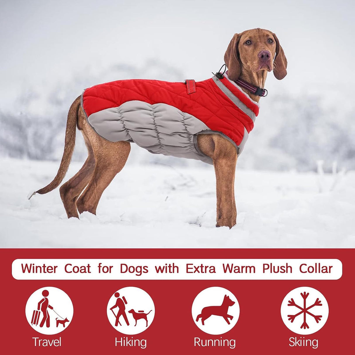 Haofy Dog Winter Coat, Reflective Strip Zipper Windproof Warm Jacket for Small Medium Large Dogs, with Built in Safety Belt for Cold Weather (S)