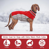 Haofy Dog Winter Coat, Reflective Strip Zipper Windproof Warm Jacket for Small Medium Large Dogs, with Built in Safety Belt for Cold Weather (S)