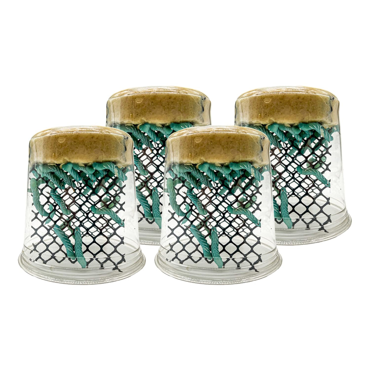 Oregon Silkworms: 100+ Hornworms | Guaranteed Healthy Arrival