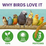 5lbs Economy & Special Spray Millet for Birds – GMO-Free, No Stems (Only Edible Tops) – 100% Natural Sun-Dried Foraging Treat for Cockatiels, Lovebirds, Parakeets, Finches & Canaries