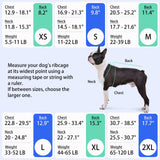 MIGOHI Dog Life Jacket, Reflective Dog Swimming Vest with High Flotation and Rescue Handle, Ripstop Dog Lifesaver for Small Medium Large Dogs, Pet Safety Water Vest for Swimming Boating Surfing