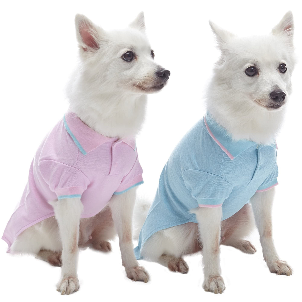 Blueberry Pet Back to School 2-Pack Custom Personalized Prep School Style Dog Polo w/Embroidered Name| Cotton Outfit for Small Pets in Pastel Pink + Blue, Back Length 16 inch