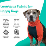 Tooth & Honey Pitbull Dog Sweater - Dark Green & Orange (Large)