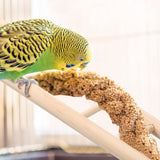 Kigeli 6 Pcs Wood Step Ladder for Bird, Hanging Bird Ladder Parrot Step Cage Hanging Climbing Toys for Parakeets, Parrots, Cockatoo and Lovebirds