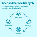 Amazon Basics Preventative Flea, Tick & Mosquito Topical Treatment for X-Large Dog (Over 55 Pounds), 4 Count, Packaging May Vary