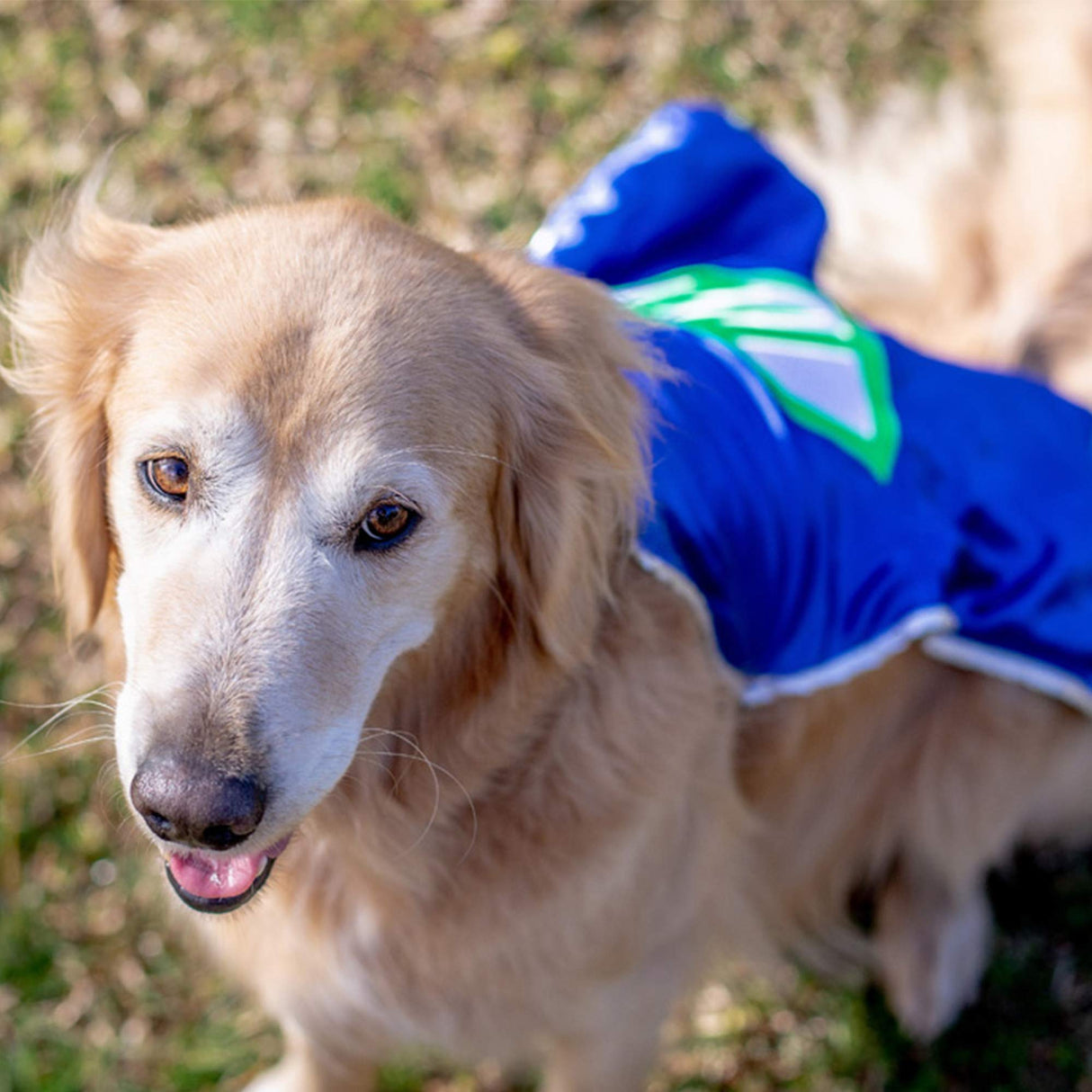 Everfan Personalized Dog Superhero Cape (X Large 25" Long (50-90 lbs), Navy Blue)