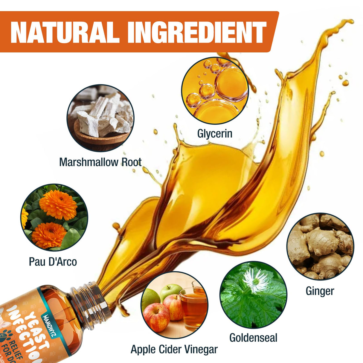 Dog Yeast Infection Relief - 60ml Herbal Pet Supplement, Soothes Itching & Odor, Supports Skin Flora Balance, Safe for Puppies to Senior Dogs, Easy-Dose Dropper