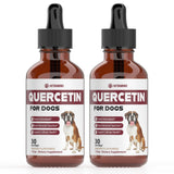 Quercetin for Dogs | Dog Allergy Relief | Quercetin for Dogs Allergies | Dog Allergy | Quercetin | Dog Allergy Support | Quercetin Dog | Dog Allergies | Quercetin Supplements | Bacon Flavor (2 Pack)