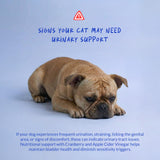 Cranberry for Dogs - Urinary Tract Support, Bladder Health, Dog UTI, Bladder Stones, Incontinence Support (Tablet)