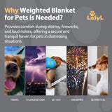 LaSyL Weighted Blanket for Pets | Thunder Blanket for Dogs Anxiety | Premium Soft Minky | Relaxation & Calming & Anti Anxiety | Used in Car, Bed, Couch | Dark Grey, Washable Medium 32" L x 40" W