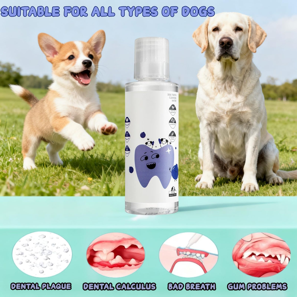 2Pcs Dental Plus,Freshen Breath, Natural, Odorless & Flavorless Formula to Fight Tartar, for All Pet