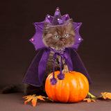 ADOGGYGO Halloween Dog Wizard Costume, Pet Cloak Cape Hat Set, Purple Halloween Costumes for Small Medium Dogs (Medium)
