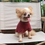 LOPHIPETS Everyday Soft Cotton Dog Short Sleeve T-Shirt for Small Dogs Breeds | Fits 10-14 lbs | 2-Pack Navy & Red, X-Large