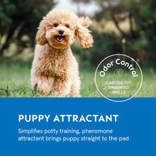 Load image into Gallery viewer, Puppy Pads Pet Pee Pads for Dogs &amp; Puppy Training [100-COUNT] Potty Pads for Dogs 22" x 22" Leak-Proof Dog Pee Pads - Quick-Dry Surface - Heavy Duty Absorbent Disposable Dog Wee Pad Bulk Pack
