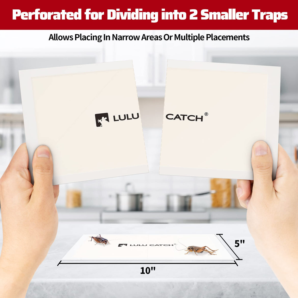 LULUCATCH Cricket Insect Glue Traps - 36 Pack Bug Sticky Traps, Large & Adhesive Spider Scorpion Trap with Pre-Baited Attractant, Highly Effective Glue Boards Indoor, Non-Toxic, Safe to Children, Pets