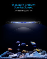 NICREW ClassicLED Gen 2 Aquarium Light, 25 Watts, Dimmable LED Fish Tank Light with 2-Channel Control, White and Blue LEDs, Size 30 to 36 Inch