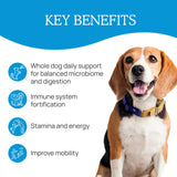 Real Mushrooms Whole Dog Health – Functional Mushroom Blend for Dogs with Lion’s Mane, Cordyceps, Turkey Tail, Reishi, Shiitake for Overall Wellbeing of Dogs – 2.65 oz Powder Supplement