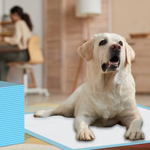 Load image into Gallery viewer, Puppy Pee Pads for Dogs - 32"x36" Extra Large, 60 Count, Leak-Proof &amp; Super Absorbent, Thicken Disposable Potty Pads for Puppy &amp; Cat Training
