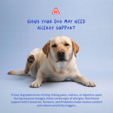 Allergy Support for Dogs - with Vitamin C, Omega 3 and Colostrum - Itch Relief, Allergy Relief for Dogs, Skin Soother - with Probiotics for Immune System Health (Chewable Tablets)