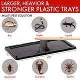 Trapsters USA Mouse & Rat Plastic Glue Traps (10CT) - 5x10 Inches, Pre-Baited, Non-Toxic, Pet-Safe Adhesive Plastic Boards for Home & Office - Indoor Pest Control for Mice (Peanut Scented)