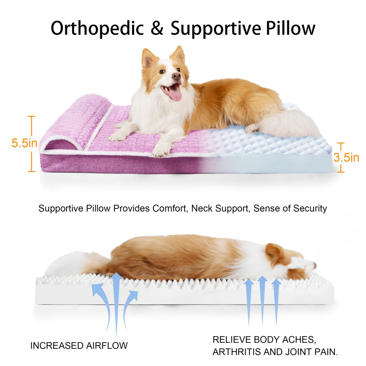 Jolifield Orthopedic Dog Bed Large Sized Dog with Pillow 36''X24'', Waterproof Soft Comfortable Egg Crate Foam Pet Crate Beds Mat with Removable Washable Cover and Non-Slip Bottom, Lilac