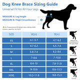 Nylvian Dog Knee Brace for Torn Acl Hind Leg - Adjustable Stabilizing Support for Ccl Injury, Luxating Patella, Hind Leg Pain & Arthritis - Rear Leg Limp Support