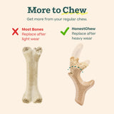 WOOF HonestChew Dog Toy Duo - Durable Dog Chews - Made with Plant-Based Ingredients - Splinter-Resistant - Safer Than Dog Bones - with HonestChew Antler and Infinity - Gift for Dogs - Medium