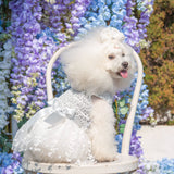 CuteBone Dog Birthday Dress Girl Puppy Skirt Tutu Cat Wedding Outfit Pet Party Clothes for Small Dogs Costume DD17XS
