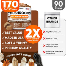 Load image into Gallery viewer, Turkey Tail Mushroom for Dogs - 170 Chews - Lion’s Mane - Shiitake - Reishi - Buddy Immune Support Guard - Mushroom Supplement for Dogs Lumps and Bumps Glucosamine, Health Vitamins Multivitamin
