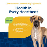 NaturVet Cardiovascular Support Dog Supplement Plus Taurine – Helps Support Dog Heart and Cardiovascular Systems – Includes Antioxidants, Magnesium, Hawthorn, L-Carnitine – 60 Ct.