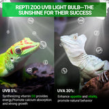 REPTI ZOO UVB Light for Tropical Reptile, 2 Pack 5.0 15W UVA UVB Reptile Light Bulb, UVB Lamp for Crested Gecko Leopard Gecko Frog Toad Snake Chameleon