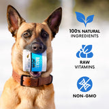 Organic Kelp Powder for Dogs, Dried Sea Kelp Supplement for Thyroid Function, Dental Health, Immune Support, Digestion, Skin & Coat - Iodine Rich - Multivitamin for Cats & Dogs 16oz - Made in USA
