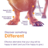 MOVOFLEX Soft Chews Hip and Joint Support Supplement for Small Dogs 60 Count by Virbac