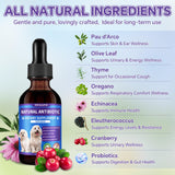 Dog Antibiotics Support - Natural Antibiotics Care for Dogs Herbal Supplement for Cough Allergy Itch Relief Immune Support Dog UTI Comfort for All Breeds & Ages - 60 ml/2 Fl Oz Bacon Flavor