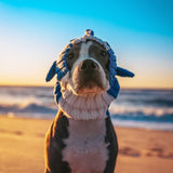 Zoo Snoods Baby Shark Costume - Warm Knit Dog Snood Wrap for Pets, Neck Ear Cover Protection, Halloween Winter (Large)