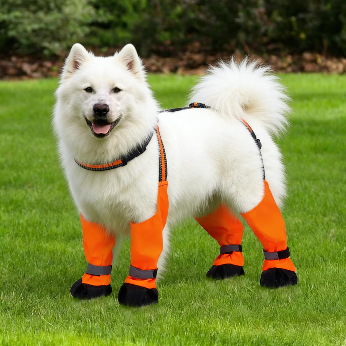 Dog Suspender Boots, Anti-Slip & Fall Waterproof Dog Shoes Leggings, Dog Paw Protector for Small Medium Dogs, Adjustable Dog Boots Pet Shoes for Outdoor Walking Orange,S