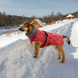 Sheripet Dog Coat Winter, Waterproof Quilted Dog Jacket for Cold Weather, Reflective Adjustable Puppy Winter Coat, Warm Turtle-Neck Pet Fleece Snow Jacket for XX-Large Dogs, NewRed XXL