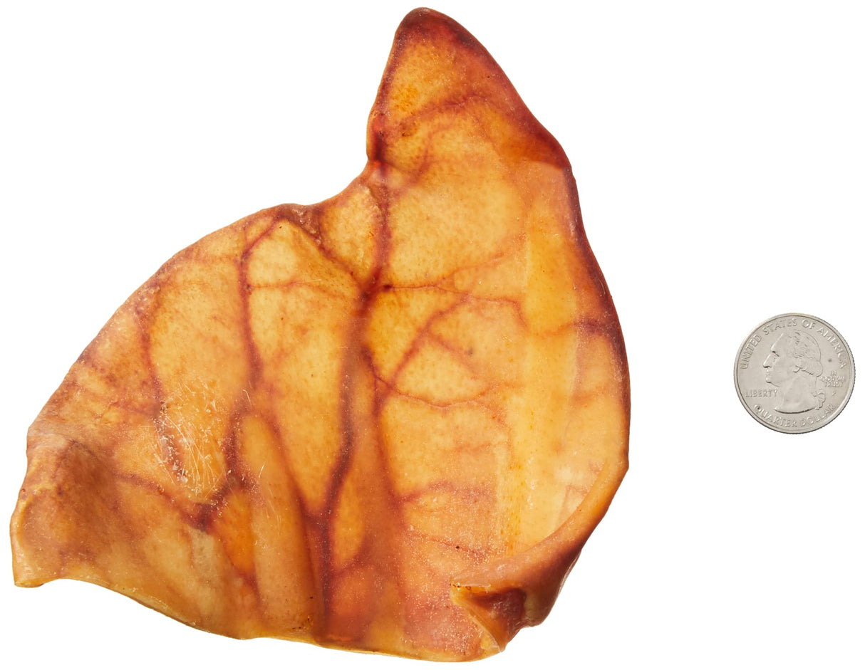 Wonder Bound Whole Pig Ears, Single Ingredient, Highly Digestible, Dog Treats for Puppy and Large/Medium Dogs, Pork, 18 count, 12.7 ounce (Pack of 1)